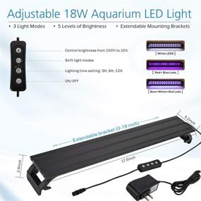 img 1 attached to Hygger Horizon 8 Gallon LED Glass Aquarium Kit: Complete Starter Set with Power Filter Pump, Colored LED Light, and 3D Rockery Background Decor