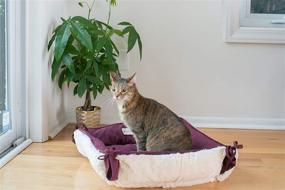img 1 attached to 🐾 Armarkat Bolstered Pet Bed and Mat: Ultra-Soft Dog Bed for Maximum Comfort