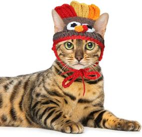 img 4 attached to RYPET Cat Turkey Costume - Thanksgiving Pet Apparel for Small Cats Dogs including a Turkey Hat