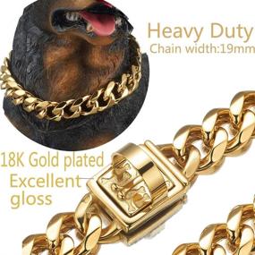 img 2 attached to 👑 Premium 19mm Golden Dog Collar - Heavy Duty Stainless Steel Luxury Training Collar with Durable Clasp - Cuban Link Necklace Chain for Dogs