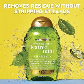 img 1 attached to 🌱 OGX Refreshing Scalp + Tea Tree Mint Shampoo: Extra Strength Invigorating Formula with Peppermint Oil, Witch Hazel, Paraben-Free, Sulfate-Free Surfactants, 13 fl oz