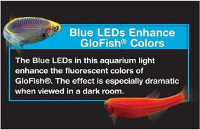 img 2 attached to 🐠 GloFish Universal LED Light: Enhance Your Aquarium with Color-Enhancing Blue LEDs - Ideal for Aquariums Up to 15 Gallons!