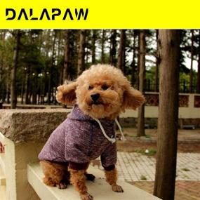 img 1 attached to DALAPAW Pet Winter Sweatshirt Coat - Hoodies for Dog Cat Puppy: Warm Sweater Outfits with Athletic Look - Dog Hoodie Sweatshirts Pullover, Cat Jackets in Wine Red