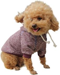 img 4 attached to DALAPAW Pet Winter Sweatshirt Coat - Hoodies for Dog Cat Puppy: Warm Sweater Outfits with Athletic Look - Dog Hoodie Sweatshirts Pullover, Cat Jackets in Wine Red