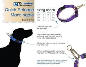 img 1 attached to Technika Quick Release Martingale Dog Collar by Canine Equipment