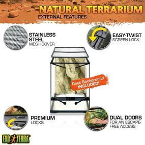 img 2 attached to Exo Terra Natural Glass Terrarium