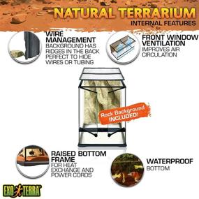 img 1 attached to Exo Terra Natural Glass Terrarium
