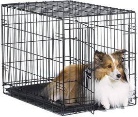 img 4 attached to 🐶 New World Pet Products Folding Metal Dog Crate: Versatile Single and Double Door Options for Your Canine Companion