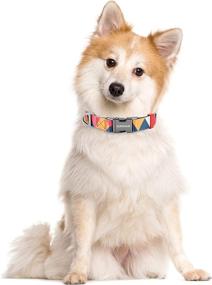 img 3 attached to 🐶 Stylish NURWOUE Dog Collar: Metal Quick Release, Comfortable Memphis Design, Adjustable for Medium to Large Dogs