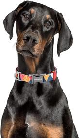 img 2 attached to 🐶 Stylish NURWOUE Dog Collar: Metal Quick Release, Comfortable Memphis Design, Adjustable for Medium to Large Dogs