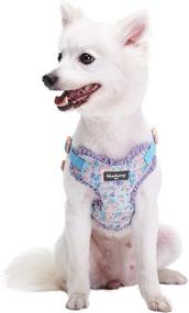 img 3 attached to 🌸 Stylish and Fragrant Dog Harness Vests: Blueberry Pet's Spring-Inspired Floral/Camo Print Collection with 10+ Patterns!