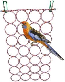 img 4 attached to 🐦 Cotton Rope Ladder Hammock Toy for Bird Cage Perch Stand Swing - Ideal for Parrot, Parakeet, Cockatiel, Conure, Cockatoo, African Grey, Macaw, Eclectus, Amazon, Lovebird, Finch, Canary, Budgie, Hamster, Rat, Tunnel