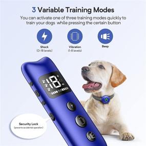 img 3 attached to 🐶 LUOYMBE Dog Training Collar with Remote: Rechargeable, 3 Safe Training Modes, 2000ft Range, IPX7 Waterproof E-Collar for Dogs