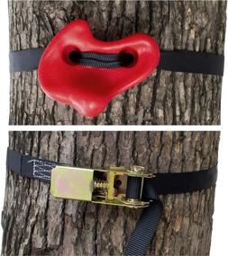 img 3 attached to 🌳 SSBRIGHT Tree Climbers: Enhance Kids' Outdoor Play with Set of 15 Climbing Holds/Steps & 6 Ratchet Straps