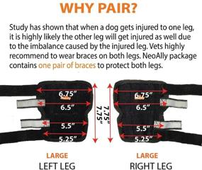 img 3 attached to 🐾 NeoAlly Dog Back Leg Braces: Enhanced Stability with Dual Metal Spring Inserts for Effective Support, Ideal for Dogs with Injuries, Sprains, Arthritis, ACL (Pair)