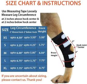 img 2 attached to 🐾 NeoAlly Dog Back Leg Braces: Enhanced Stability with Dual Metal Spring Inserts for Effective Support, Ideal for Dogs with Injuries, Sprains, Arthritis, ACL (Pair)