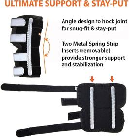 img 1 attached to 🐾 NeoAlly Dog Back Leg Braces: Enhanced Stability with Dual Metal Spring Inserts for Effective Support, Ideal for Dogs with Injuries, Sprains, Arthritis, ACL (Pair)