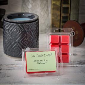 img 1 attached to 🕯️ The Candle Daddy's Hilarious Melon Fragrance Melts - Super Strong Scented Wax Cubes - 1 Pack with 6 Cubes, 2 Ounces each