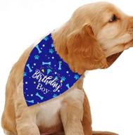 🐶 stylish blue leaves dog birthday bandana for medium to large dogs: perfect party prop and photo accessory! логотип