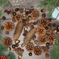 cholic pinecone ornaments decorating christmas logo