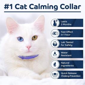 img 3 attached to 🐱 TrioGato Natural Calming & Relaxing Collar for Cats: Reduces Anxiety, Adjustable Size, Fits All Cats, Lasts Up to 60 Days