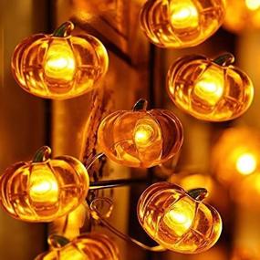 img 2 attached to 🎃 10ft 40 LED Pumpkin String Lights: Perfect for Indoor and Outdoor Thanksgiving Decor