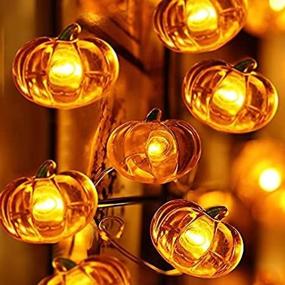 img 3 attached to 🎃 10ft 40 LED Pumpkin String Lights: Perfect for Indoor and Outdoor Thanksgiving Decor