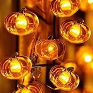 🎃 10ft 40 led pumpkin string lights: perfect for indoor and outdoor thanksgiving decor логотип