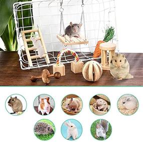 img 1 attached to Supmaker Natural Hamster Accessories Chinchillas