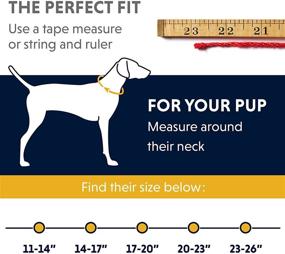 img 1 attached to 🐾 RUFFWEAR - Headwater Waterproof, Odor-Resistant, Reflective Dog Collar