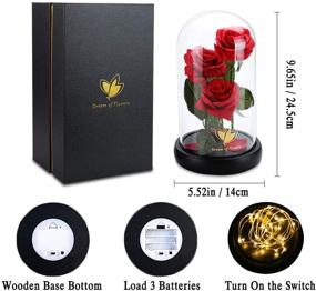 img 2 attached to 🌹 Beauty and The Beast Rose Flowers - LED String Lights on Artificial Christmas Rose Gifts for Her. Ideal Birthday Gifts for Women - Enchanted Flower Rose Gifts for Mom, Wife, Girlfriend