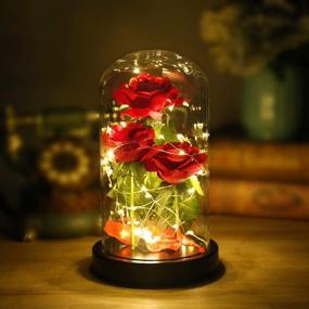 img 3 attached to 🌹 Beauty and The Beast Rose Flowers - LED String Lights on Artificial Christmas Rose Gifts for Her. Ideal Birthday Gifts for Women - Enchanted Flower Rose Gifts for Mom, Wife, Girlfriend