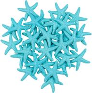framendino seashells starfish ornaments decoration logo