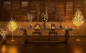 img 1 attached to 🌿 LITBLOOM Lighted Brown Willow Branches: 2 Sets of Waterproof 32IN Tree Branches with 100 LED Warm White Lights, Battery Operated with Timer - Ideal Holiday and Party Decoration