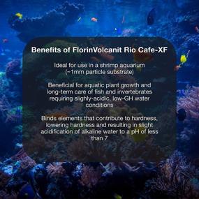 img 1 attached to 🌱 Brightwell Aquatics FlorinVolcanit Rio Cafe-XF: Premium Extra Fine Brown Volcanic Ash Substrate for Optimal Aquatic Plant Growth