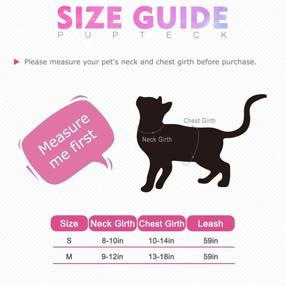 img 3 attached to 🐱 PUPTECK Reflective Cat Harness and Leash Set for Small and Medium Kitties - Perfect for Outdoor Adventures, Escape Proof and Adjustable, Soft and Comfortable