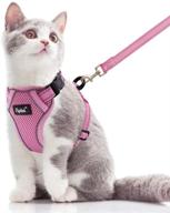 🐱 pupteck reflective cat harness and leash set for small and medium kitties - perfect for outdoor adventures, escape proof and adjustable, soft and comfortable логотип