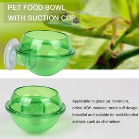 img 2 attached to 🦎 Suction Cup Reptile Feeder: Anti-Escape Food Bowl for Chameleons, Tortoises, Geckos, Snakes, Iguanas - Translucent Live Worm Fodder Container, Home Pet Feeder Supplies & Accessories
