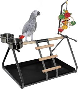 img 3 attached to 🦜 FDC Parrot Bird Perch Table Top Stand - Sturdy Metal Wood Design for Medium and Large Breeds - Includes 2 Steel Cups - Ideal Play Station - 17.5" x 12.5" x 11