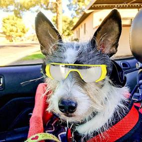 img 1 attached to GLE2016 Dog Goggles: New Version Eye Protection for Small Dogs - Waterproof, Windproof, UV Protection with Adjustable Strap