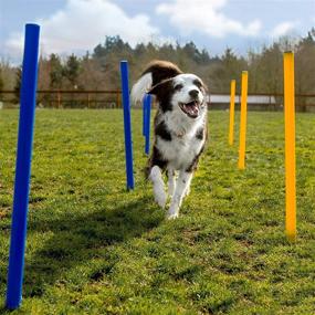 img 2 attached to 28 Piece Dog Agility Training Equipment Set - Interactive Play & Obstacle Course for Dogs - Includes Dog Tunnel, Adjustable Hurdles, Poles, Whistle, Rope Toy - Complete with Carrying Case - CHEERING PET