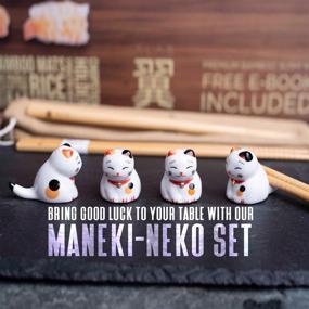 img 3 attached to 🍣 Sushi Making Kit: An Ultimate Set for Beginners and Pros, Including Bamboo Sushi Rolling Mat, Sushi Bazooka, and More!