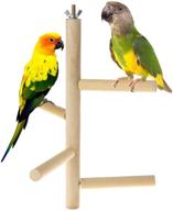 hamiledyi parakeet perch: natural wood stand for small-medium parrots, conure, budgie, lovebirds - cage top wooden branches and toys logo