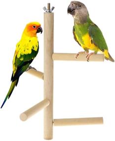 img 4 attached to Hamiledyi Parakeet Perch: Natural Wood Stand for Small-Medium Parrots, Conure, Budgie, Lovebirds - Cage Top Wooden Branches and Toys