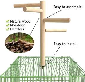 img 2 attached to Hamiledyi Parakeet Perch: Natural Wood Stand for Small-Medium Parrots, Conure, Budgie, Lovebirds - Cage Top Wooden Branches and Toys