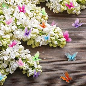 img 1 attached to 🦋 Zonon 60-Piece Colorful Butterfly Set: Vibrant Nylon Butterflies with Gem Accents for Stunning Home and Wedding Decor, Scrapbooking, and Craft Projects - Available in 2 Sizes (2.5 cm and 3 cm)