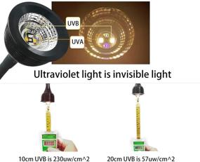 img 4 attached to Discover the Ale Pomos Reptile Turtle Lamp: LED UVA + UVB Sun Light with Digital Timer Switch - Perfect for Reptiles, Amphibians, Lizards, Turtles, Snakes, Tortoises, Bearded Dragons, and Chameleons (Includes Lamp Bulb)