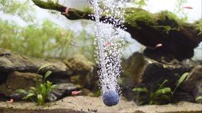 img 3 attached to 🐠 Pawfly 6 PCS Ball Shape 1.2 Inch Air Stone ASR030: The Ultimate Mineral Bubble Diffuser for Aquariums, Fish Tanks, and Pumps