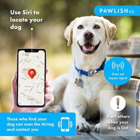 img 2 attached to 🐾 Pawlish Co. Airtag Holder: Secure your Dog's GPS Tracker with our Apple Airtag Case 4 pack!