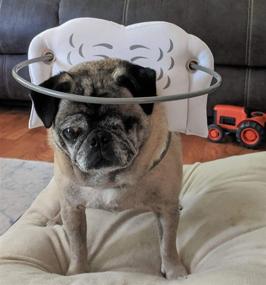 img 4 attached to Muffin’s Halo: The Ultimate Guide Device for Blind Dogs to Prevent Accidents & Boost Confidence – An Essential Accessory for Navigating Surroundings. Over 30,000 Blind Dogs Assisted!
